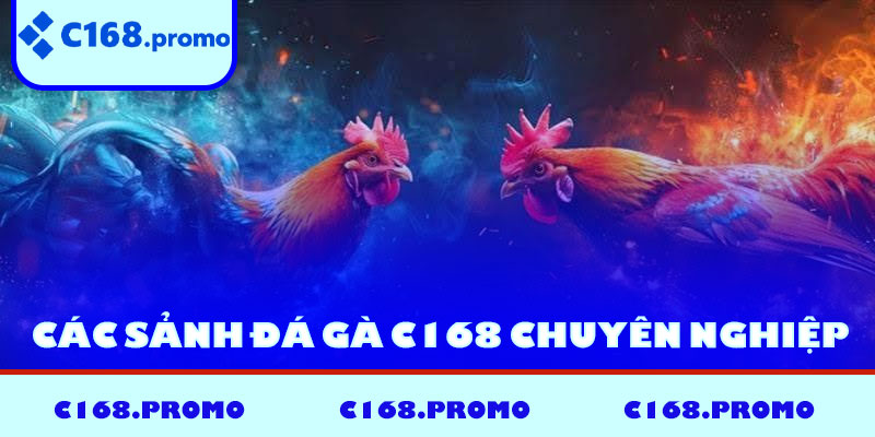 Các sảnh đá gà C168 chuyên nghiệp