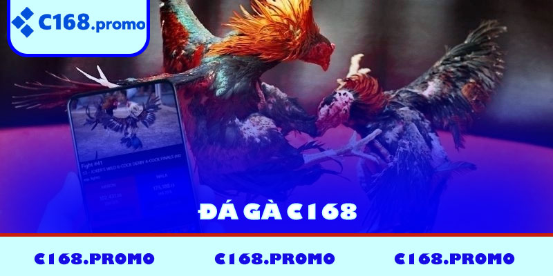 Đá Gà C168