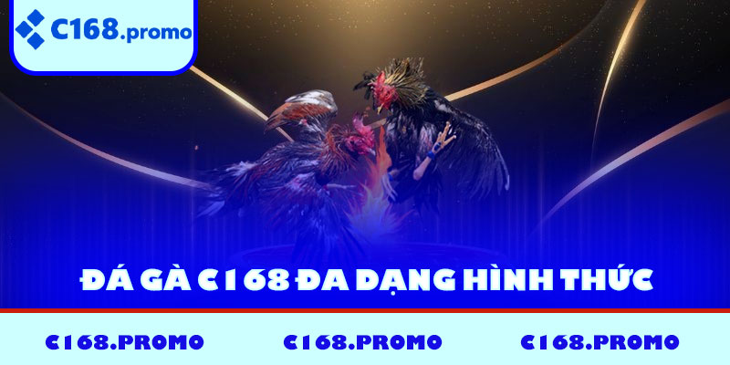 Đá gà C168 đa dạng hình thức