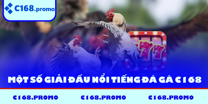 Một số giải đấu nổi tiếng đá gà C168